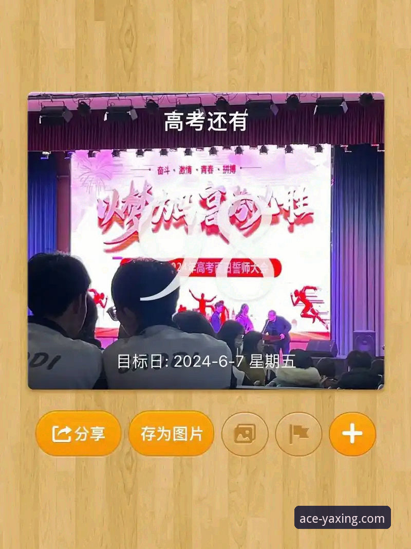 亚星体育平台手机版可靠性深度解析